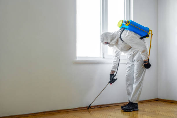 Indoor Pest Control in River Road, OR